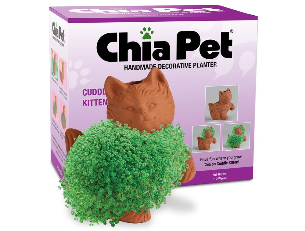 chia pet